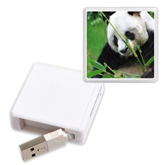 Memory Card Reader (Square)