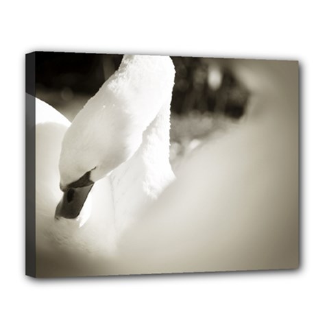 Swan 11  X 14  Framed Canvas Print