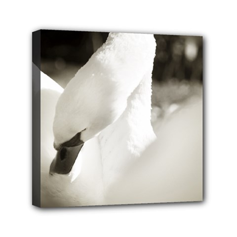 Swan 6  X 6  Framed Canvas Print by artposters