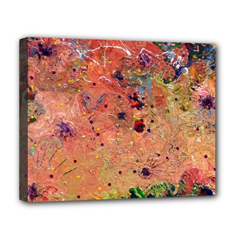 Diversity Deluxe Canvas 20  X 16  (stretched)