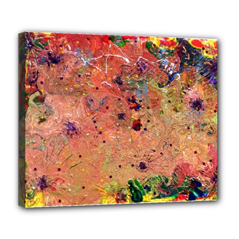 Diversity Deluxe Canvas 24  X 20  (stretched) by dawnsebaughinc