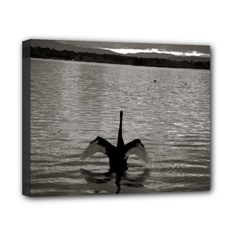 Swan, Canberra 8  X 10  Framed Canvas Print by artposters