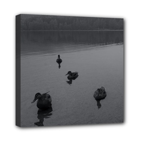 Ducks 8  X 8  Framed Canvas Print by artposters