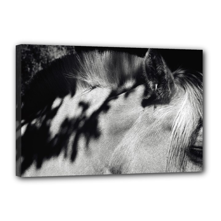 horse 12  x 18  Framed Canvas Print