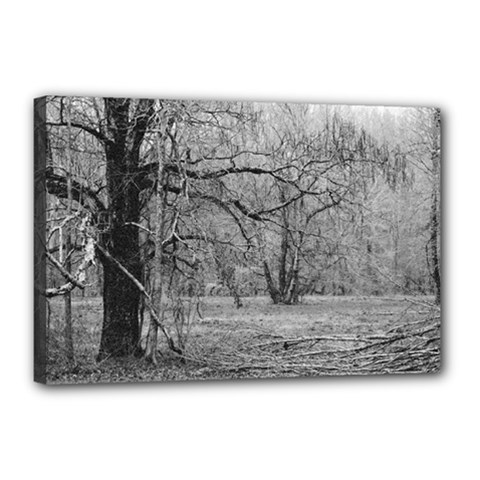 Black And White Forest 12  X 18  Framed Canvas Print