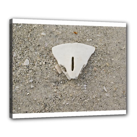 Quarter Of A Sand Dollar 16  X 20  Framed Canvas Print