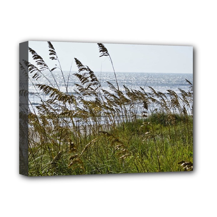 Cocoa Beach, Fl Deluxe Canvas 16  x 12  (Stretched) 