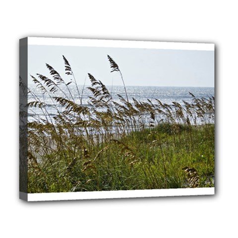 Cocoa Beach, Fl Deluxe Canvas 20  X 16  (stretched)