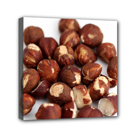 Hazelnuts Mini Canvas 6  X 6  (framed) by hlehnerer