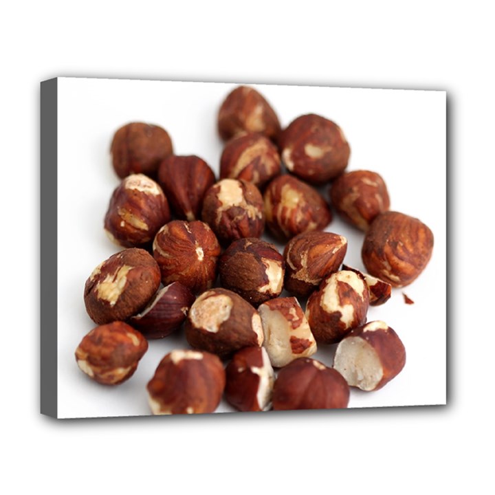 Hazelnuts Deluxe Canvas 20  x 16  (Framed)