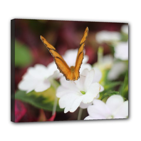 Butterfly 159 Deluxe Canvas 24  X 20  (framed)