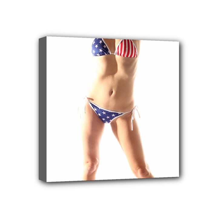 Usa Girl Mini Canvas 4  x 4  (Framed)