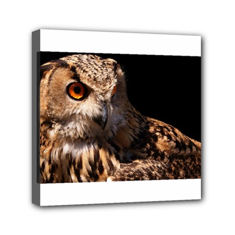 Owl Mini Canvas 6  X 6  (framed) by MLWartstore