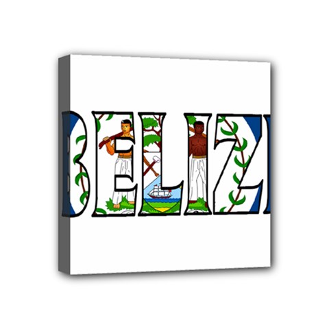 Belize Mini Canvas 4  X 4  (framed) by worldbanners