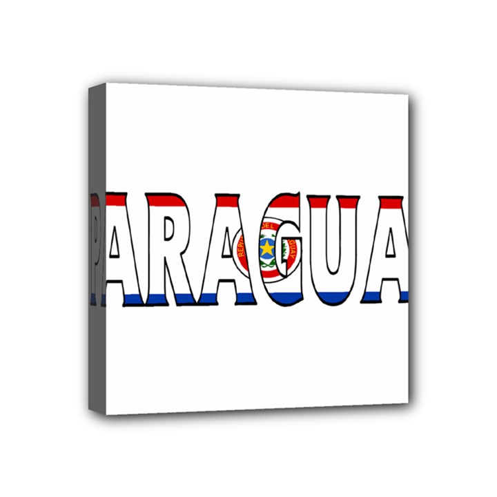 Paraguay Mini Canvas 4  x 4  (Framed)