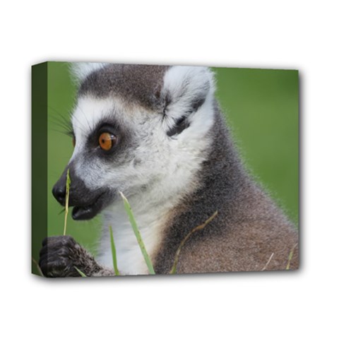 Ring Tailed Lemur  2 Deluxe Canvas 14  X 11  (framed) by smokeart