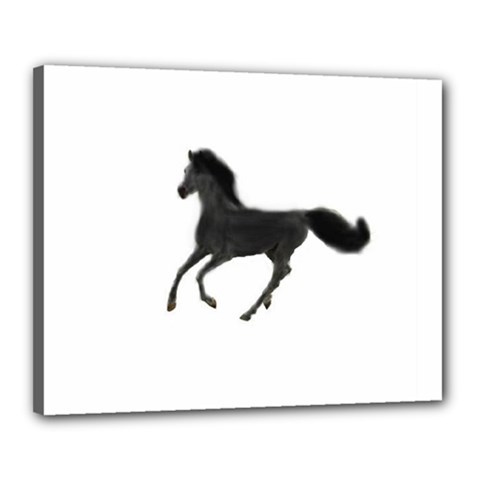 Running Horse Canvas 20  X 16  (framed) by mysticalimages