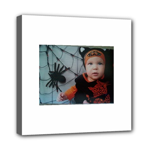 Wp 003147 2 Mini Canvas 8  x 8  (Framed)