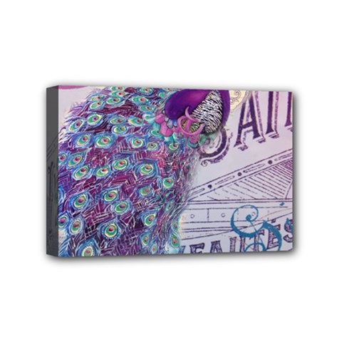 French Scripts  Purple Peacock Floral Paris Decor Mini Canvas 6  X 4  (framed) by chicelegantboutique