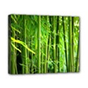 Bamboo Canvas 10  x 8  (Framed) View1