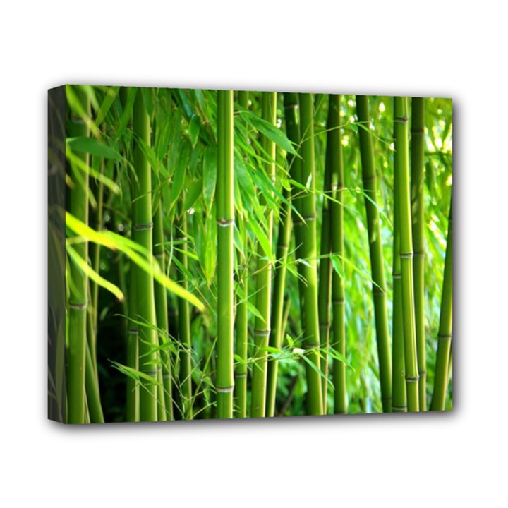 Bamboo Canvas 10  x 8  (Framed)