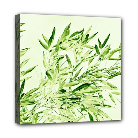 Bamboo Mini Canvas 8  X 8  (framed)