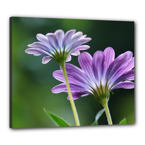 Flower Canvas 24  X 20  (framed)