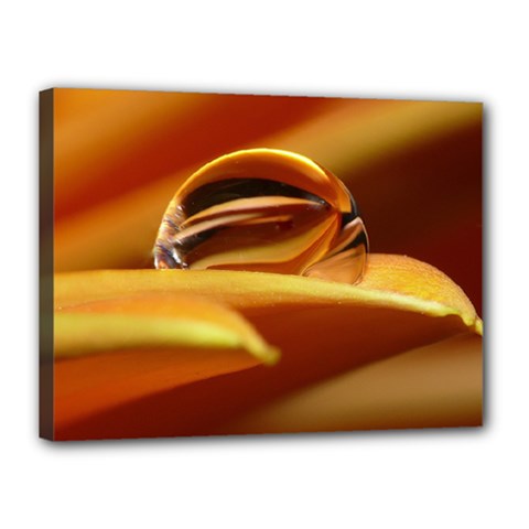 Waterdrop Canvas 16  X 12  (framed)