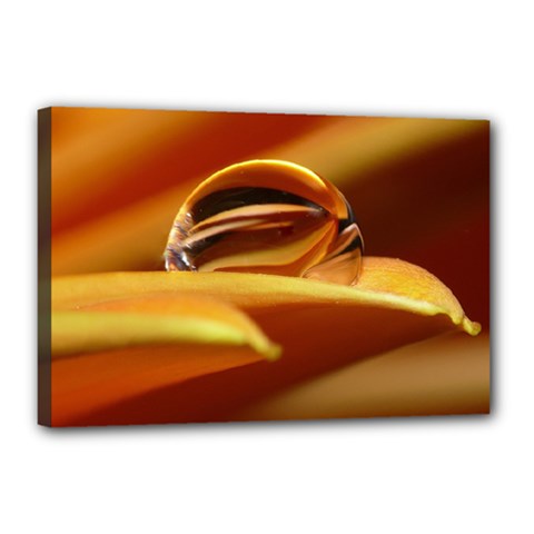 Waterdrop Canvas 18  X 12  (framed)