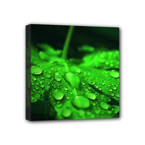 Waterdrops Mini Canvas 4  X 4  (framed)