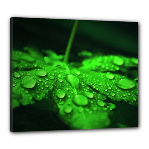 Waterdrops Canvas 24  X 20  (framed)