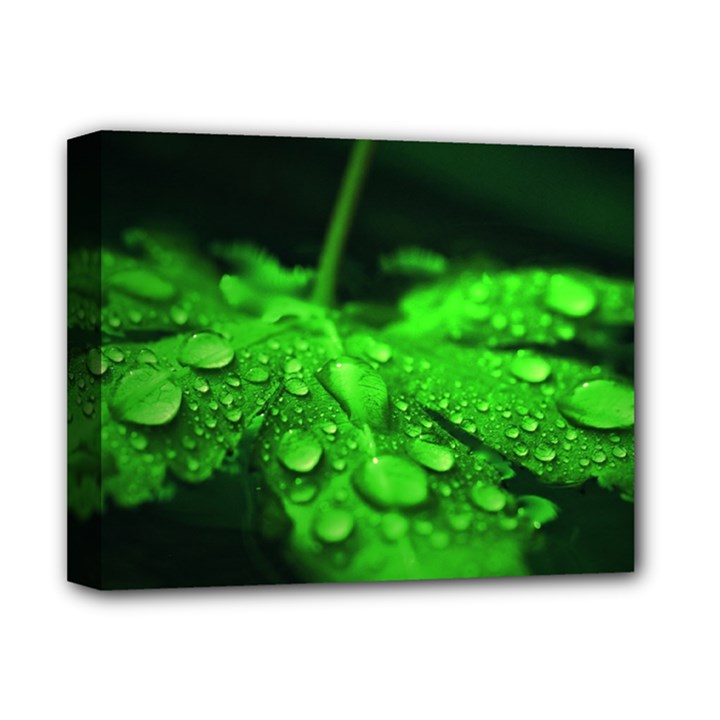 Waterdrops Deluxe Canvas 14  x 11  (Framed)