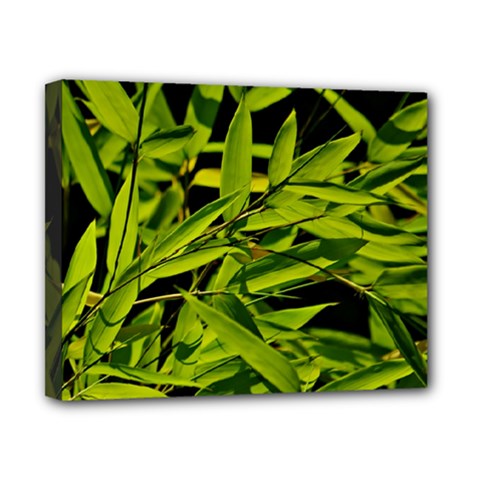 Bamboo Canvas 10  X 8  (framed)