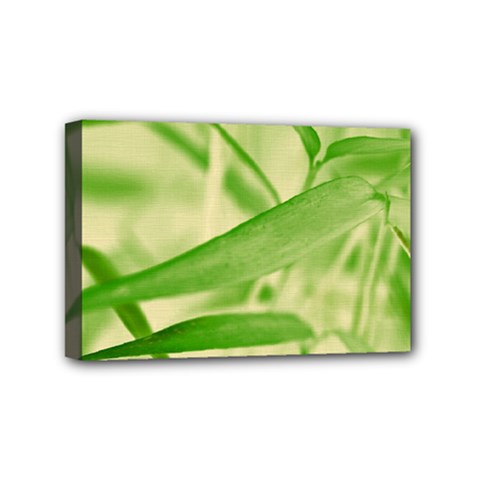 Bamboo Mini Canvas 6  X 4  (framed)