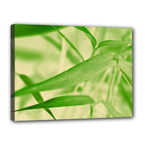 Bamboo Canvas 16  X 12  (framed)