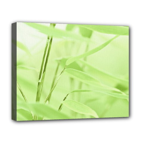 Bamboo Deluxe Canvas 20  X 16  (framed) by Siebenhuehner