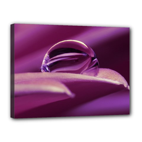 Waterdrop Canvas 16  X 12  (framed)