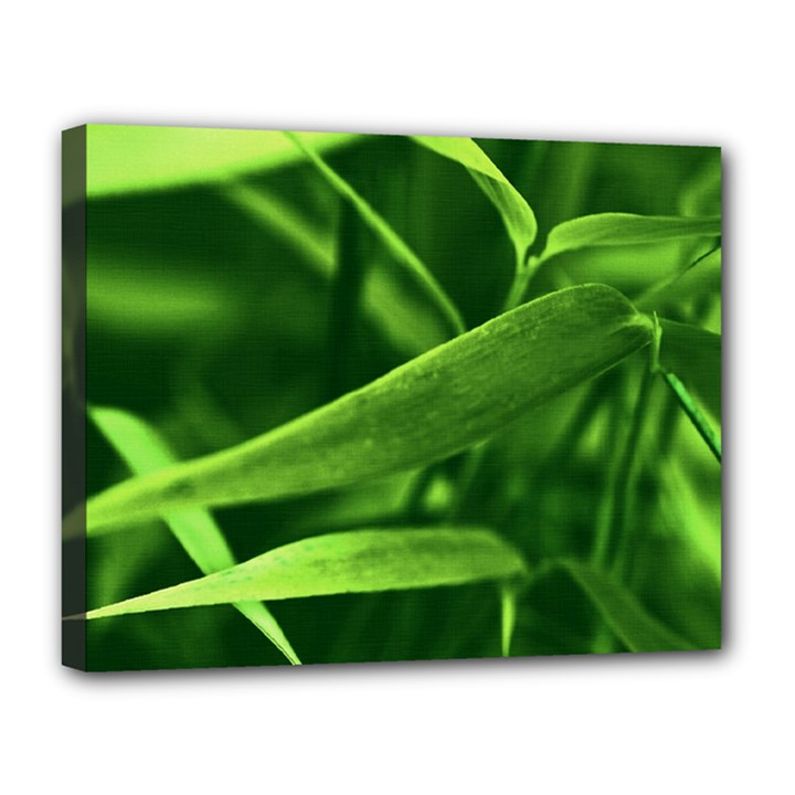 Bamboo Canvas 14  x 11  (Framed)