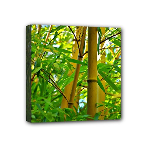 Bamboo Mini Canvas 4  X 4  (framed)