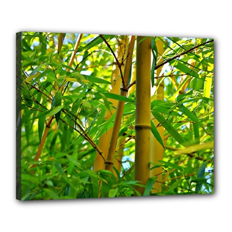 Bamboo Canvas 20  X 16  (framed) by Siebenhuehner