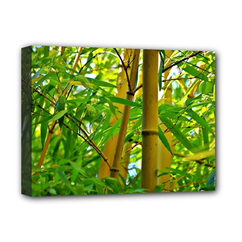 Bamboo Deluxe Canvas 16  X 12  (framed)  by Siebenhuehner