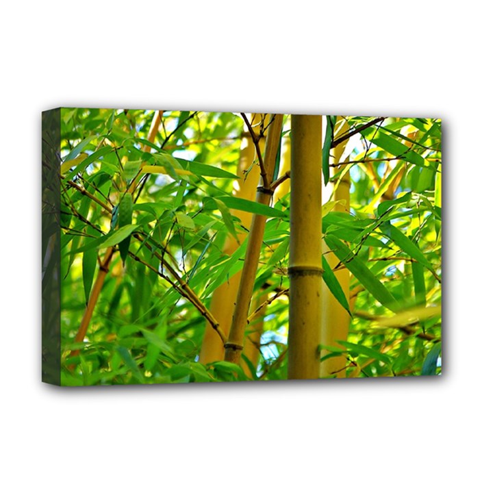 Bamboo Deluxe Canvas 18  x 12  (Framed)