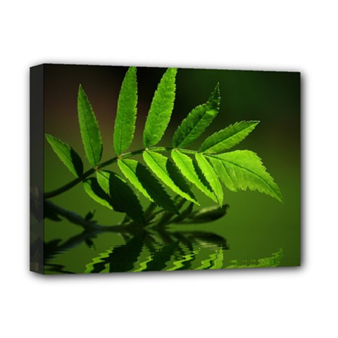 Leaf Deluxe Canvas 16  X 12  (framed)  by Siebenhuehner