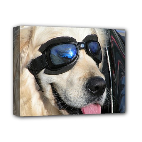 Cool Dog  Deluxe Canvas 14  X 11  (framed)