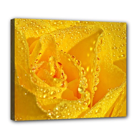 Waterdrops Deluxe Canvas 24  X 20  (framed)