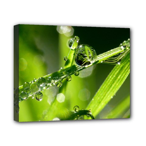 Waterdrops Canvas 10  X 8  (framed)