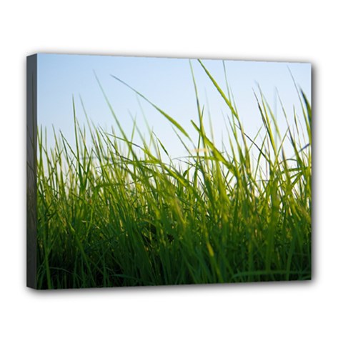 Grass Canvas 14  X 11  (framed)