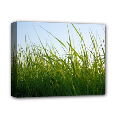 Grass Deluxe Canvas 14  X 11  (framed)