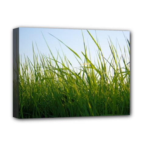 Grass Deluxe Canvas 16  X 12  (framed)  by Siebenhuehner