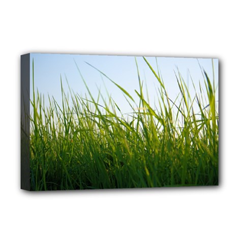 Grass Deluxe Canvas 18  X 12  (framed) by Siebenhuehner